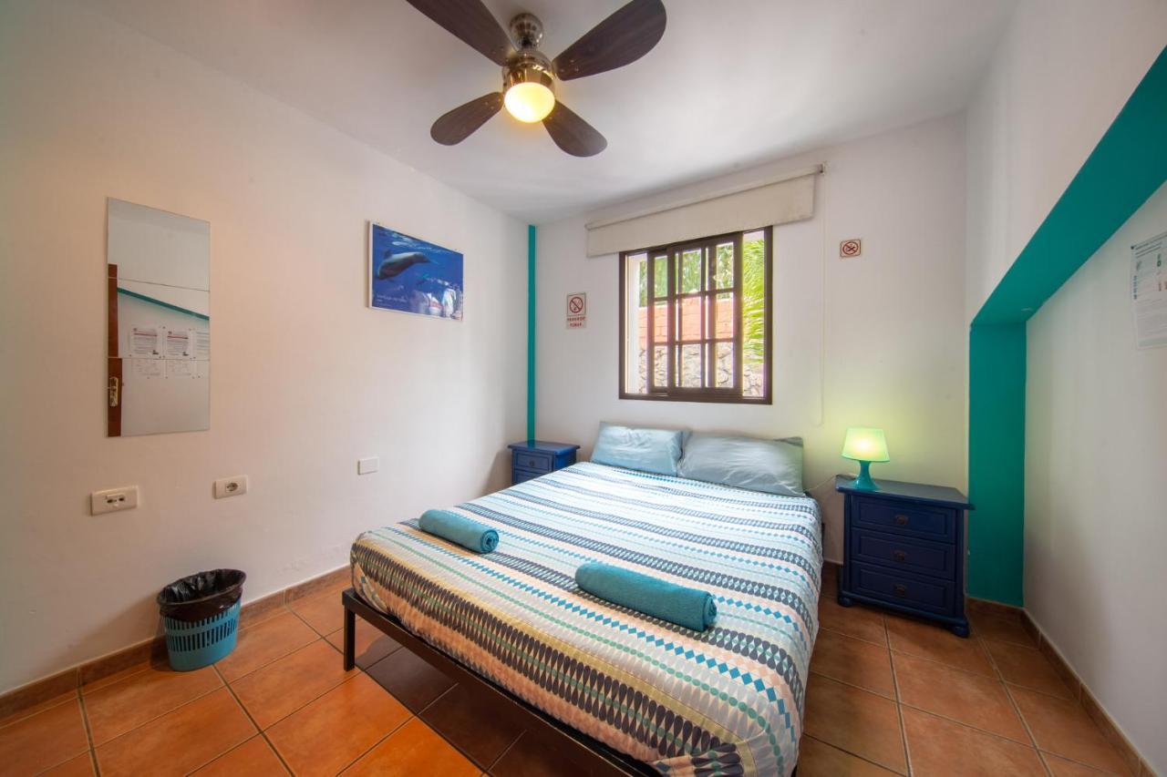 La Tortuga Hostel Адехе Экстерьер фото